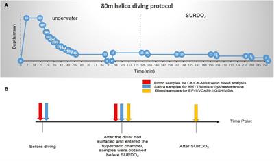 Human Physiological Responses to a Single Deep Helium-Oxygen Diving